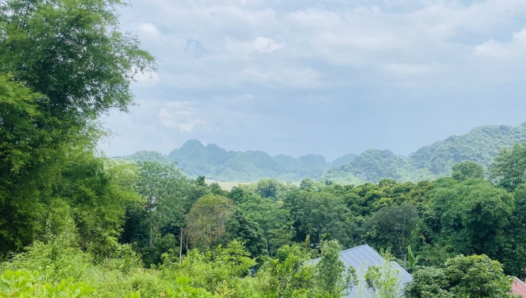 em cần bán gấp lô đất dưới quê hòa bình diện tích 1672 m2
 giá 1 tỷ